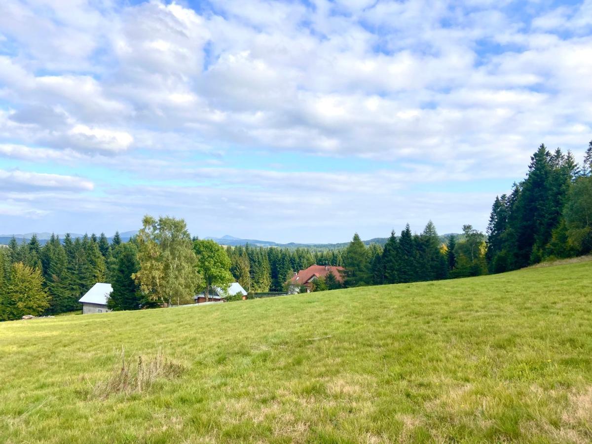 Villa Agroturystyka Sarni Stok à Krynica-Zdrój Extérieur photo