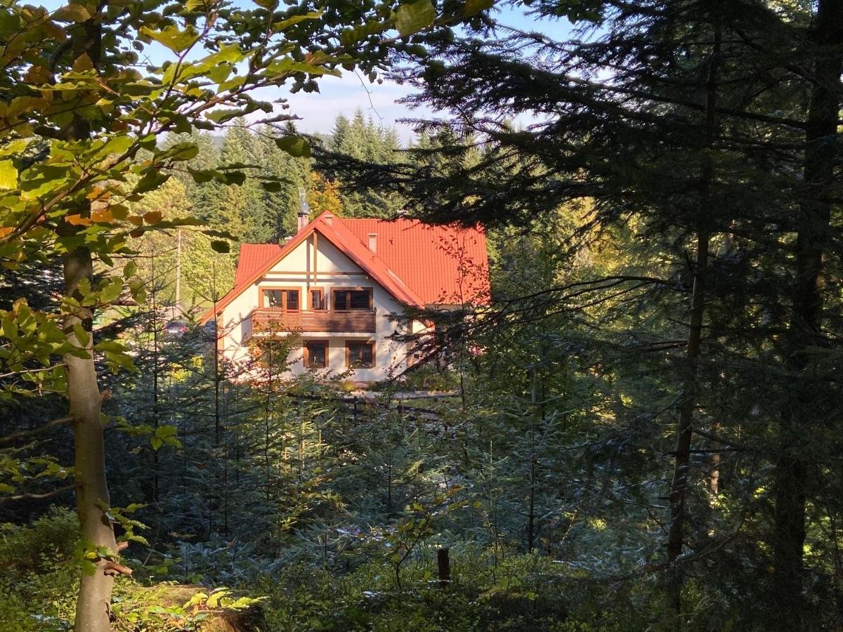 Villa Agroturystyka Sarni Stok à Krynica-Zdrój Extérieur photo